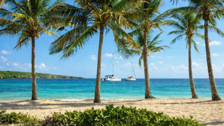 Plage de Guadeloupe bordée de cocotiers avec voiliers et catamarans au mouillage sur une mer turquoise