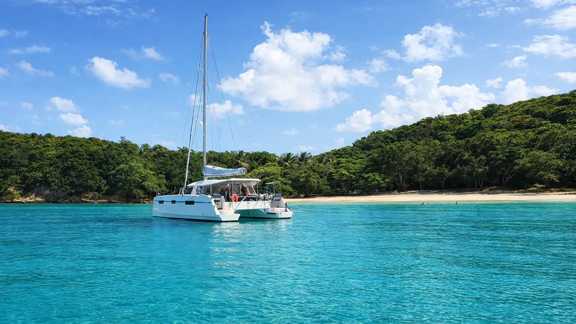 Catamaran au mouillage dans un lagon turquoise en Guadeloupe, face à une plage sauvage et tropicale lors d’une excursion ou mini-croisière