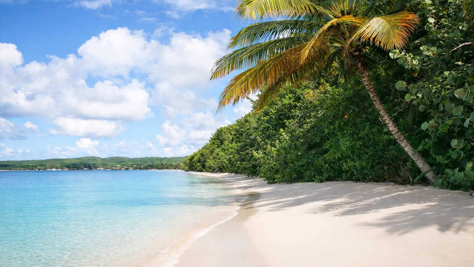 Plage de sable blanc à Marie-Galante lors d’une excursion à la journée ou croisière au départ de la Guadeloupe