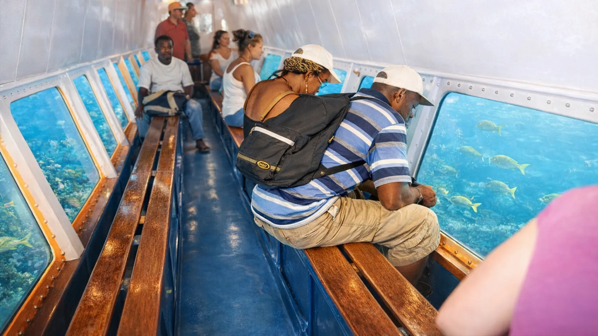 Fond de verre du maxi-catamaran à moteur lors d’une excursion à Petite-Terre, observation des fonds marins sans baignade