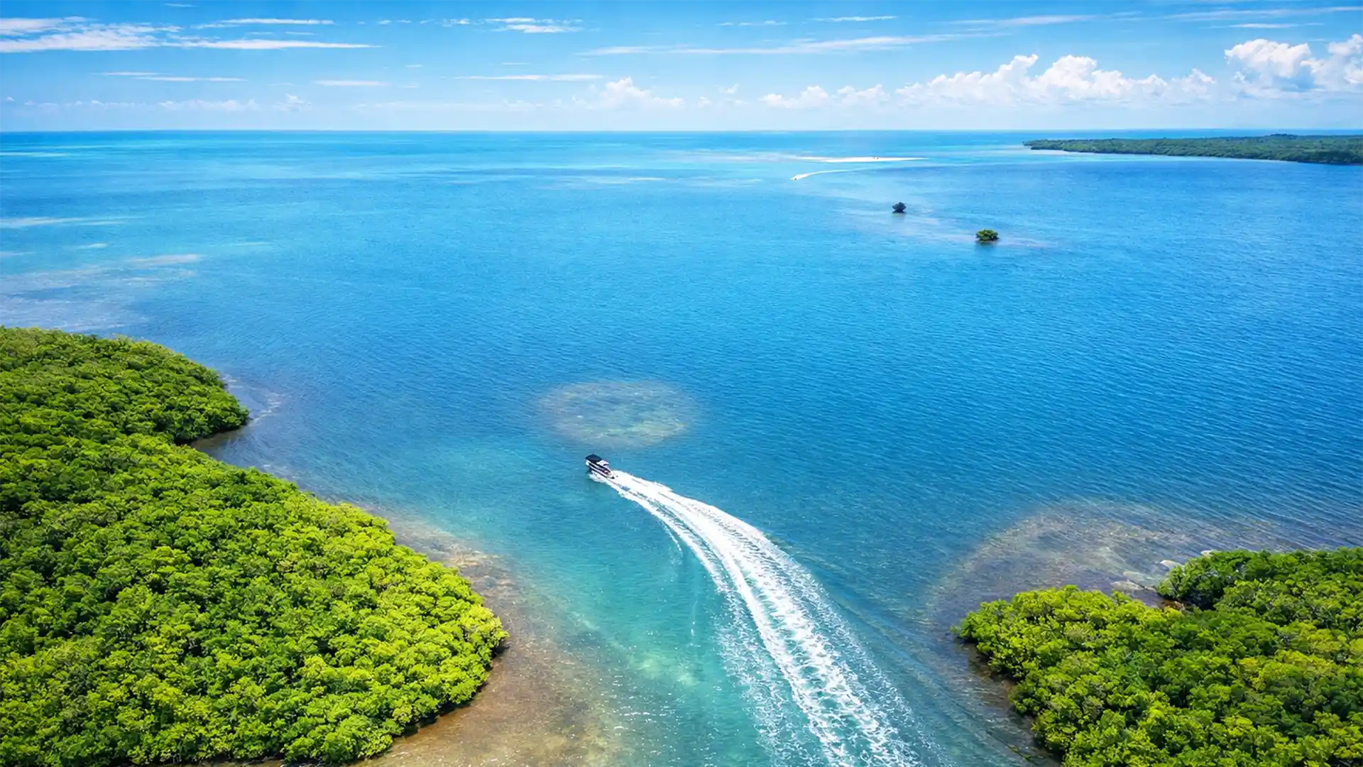 Excursion en speedboat dans le Grand-Cul-de-Sac-Marin, lagon turquoise et mangrove en Guadeloupe