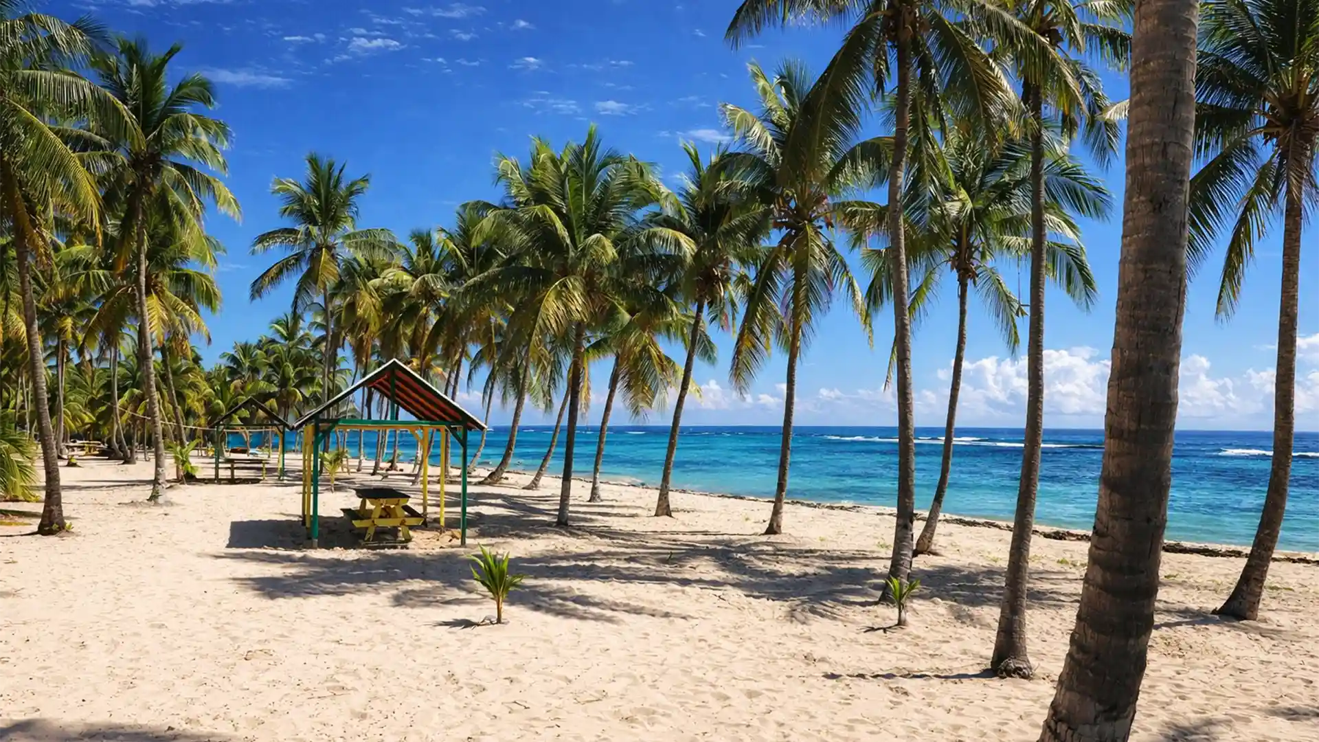 Plage du Souffleur à La Désirade, plage de sable clair bordée de cocotiers en Guadeloupe