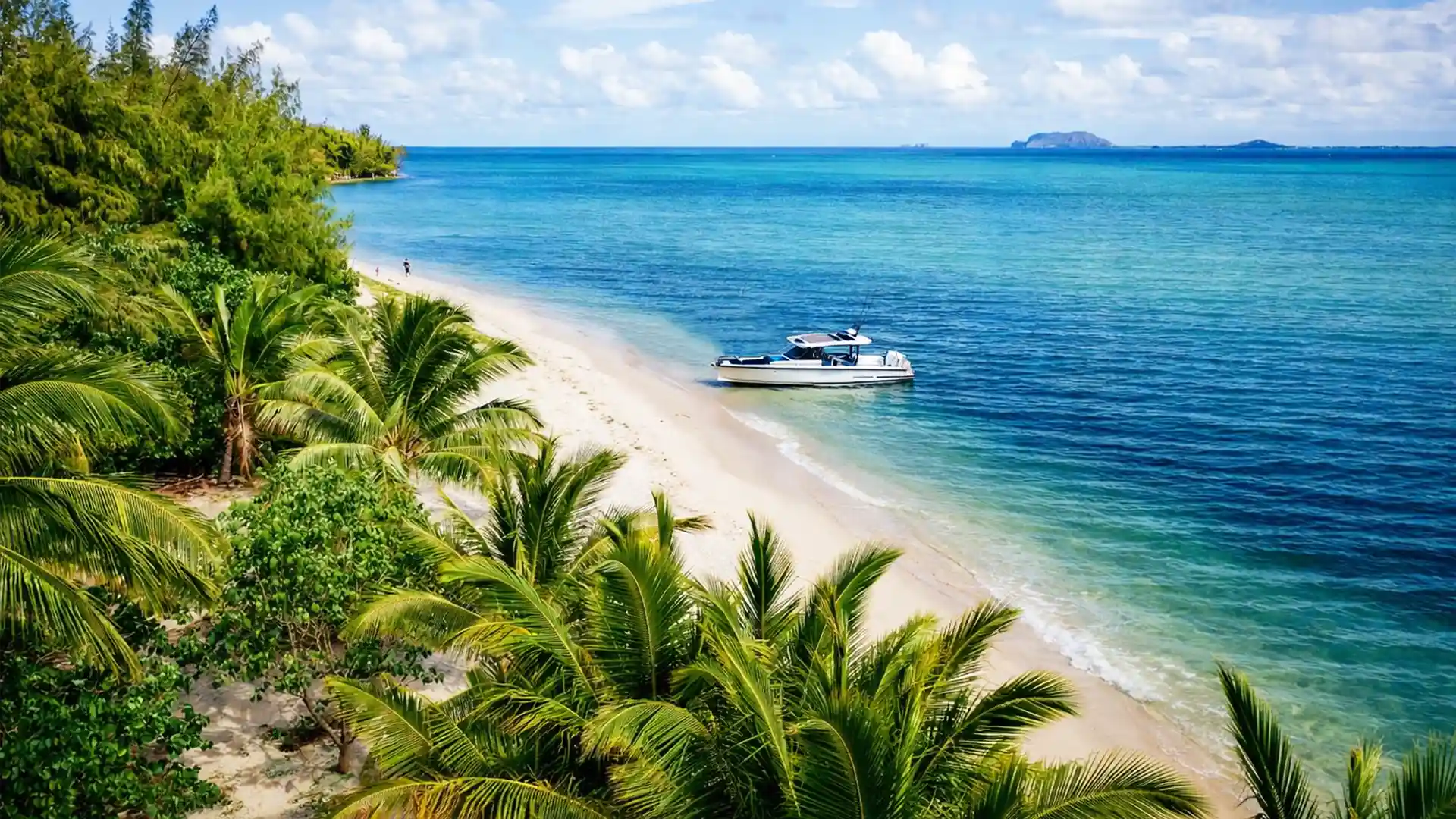 Location bateau en Guadeloupe avec bateau au mouillage sur une plage paradisiaque bordée de cocotiers