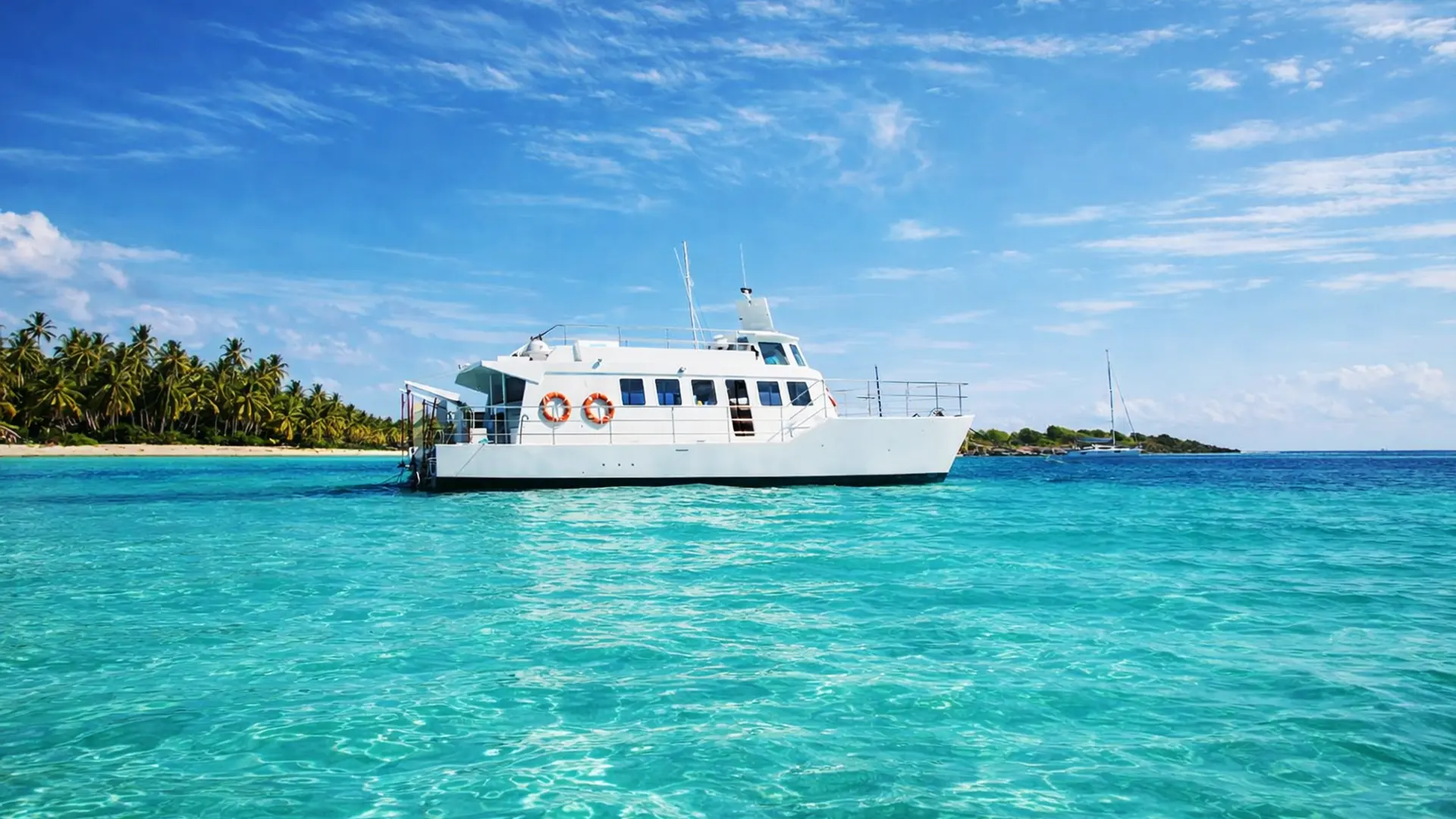 Maxi-catamaran d’excursion blanc ancré dans une eau turquoise cristalline des Caraïbes.